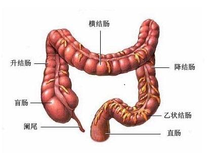 结肠炎
