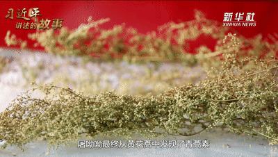 7.gif